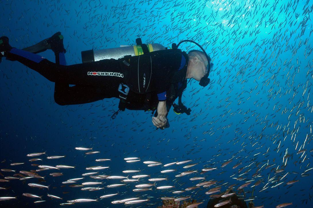 Scuba Diver under water