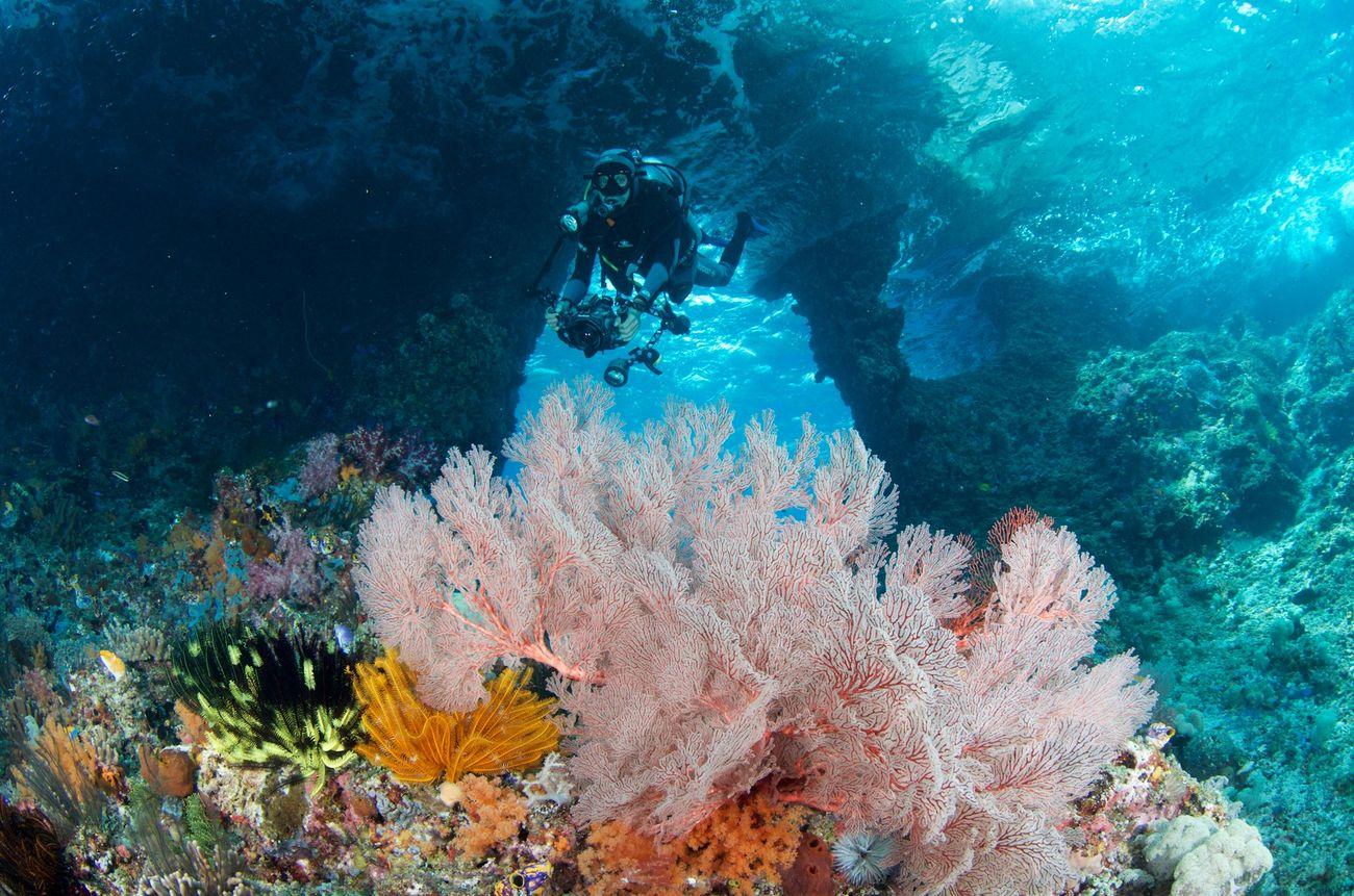 Boo Window, Misool Raja Ampat