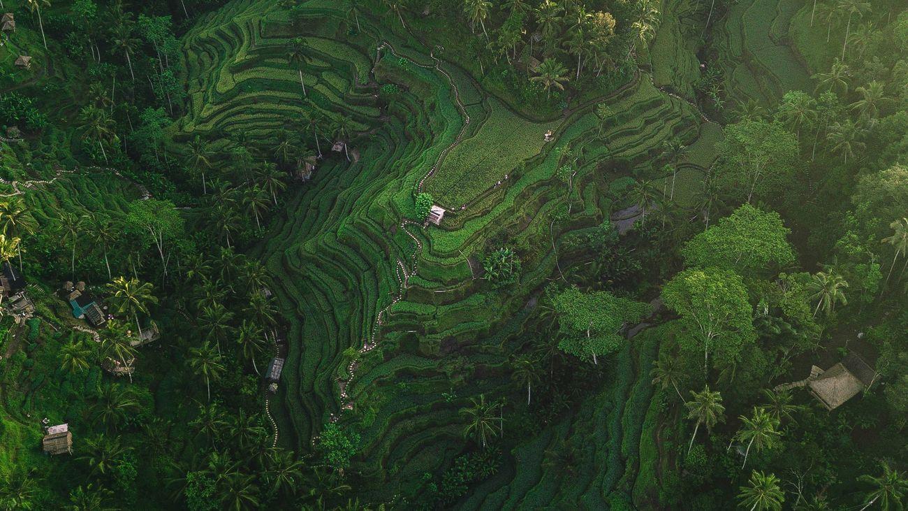 Bali, Indonesia