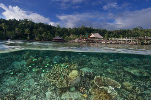 Gam Island, Raja Ampat