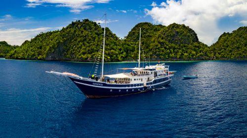 Seahorse, Raja Ampat