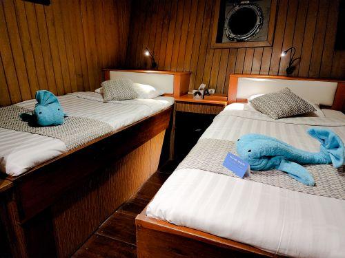 Twin Bed (Lower Deck), Sea Safari 8