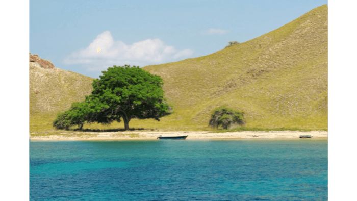 Banta Island, Komodo