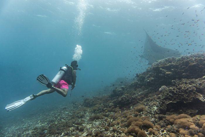 Manta Alley, Komodo, Dive site