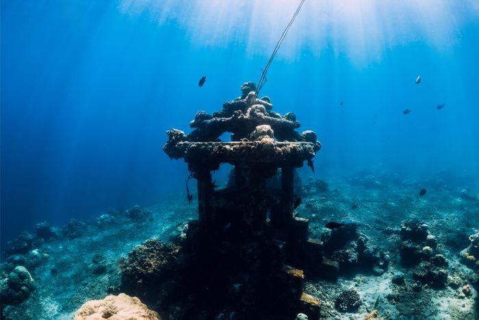 Bali Underwater