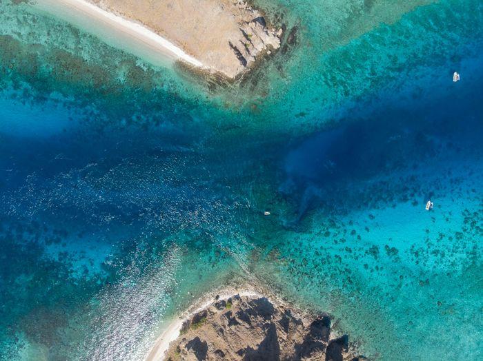 Komodo Island, Komodo