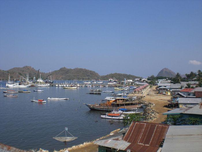 Labuan Bajo, Komodo