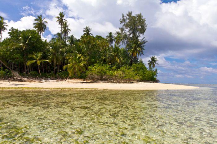 Pisang Island, Maluku