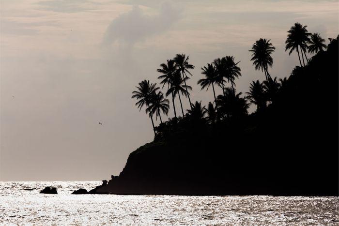 Manuk Island