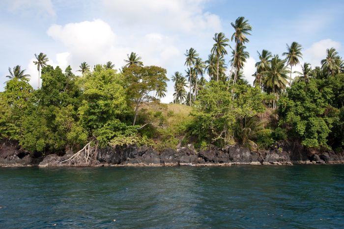 Lembeh Strait, Sulawesi