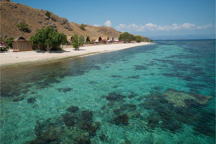 Sebayur Kecil, Komodo