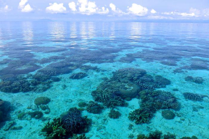 Bacan Island, North Maluku