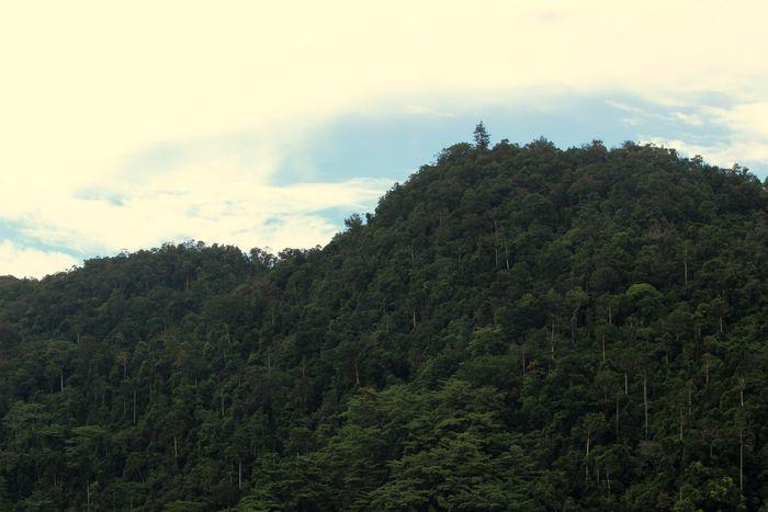 Serua Island, Maluku