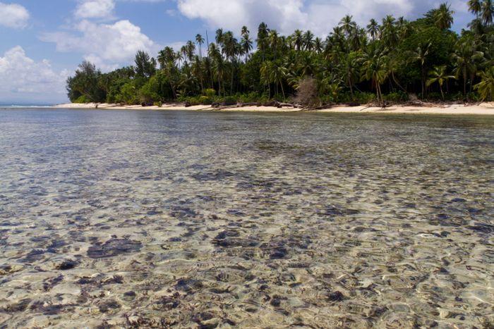 Pisang Island, Maluku